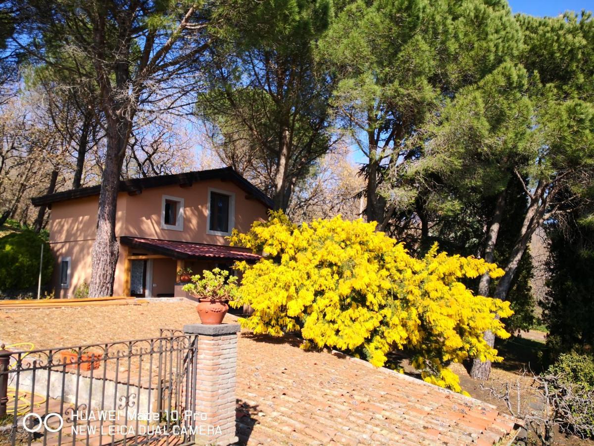 Villa Feudo Algerazzi Zafferana Etnea
